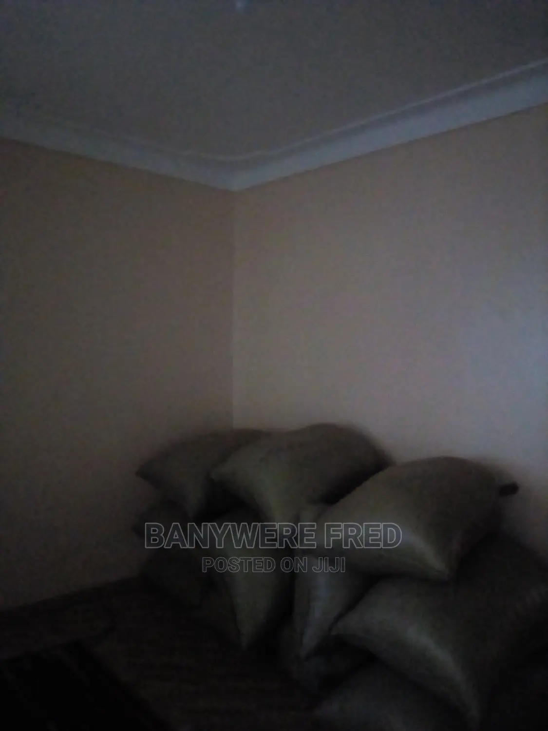 Furnished 2bdrm Apartment in Kampala for Rent