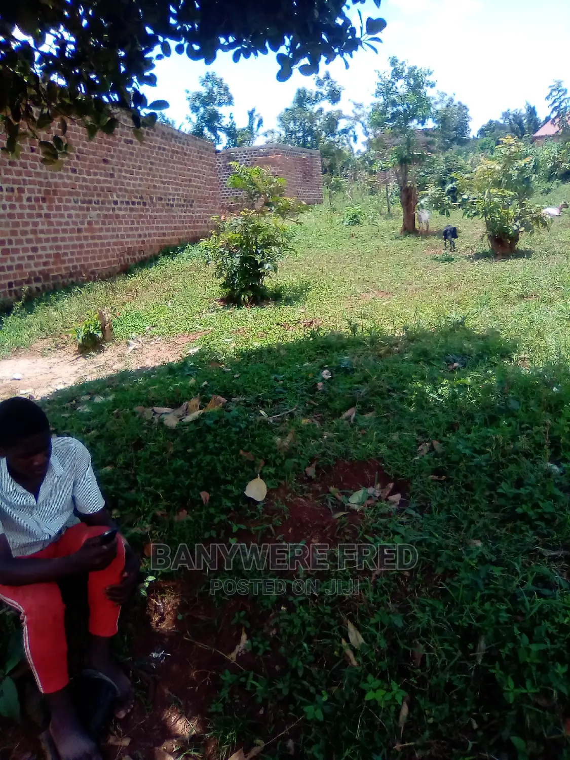Plot for Sale in Bukerere Katwe 50/70