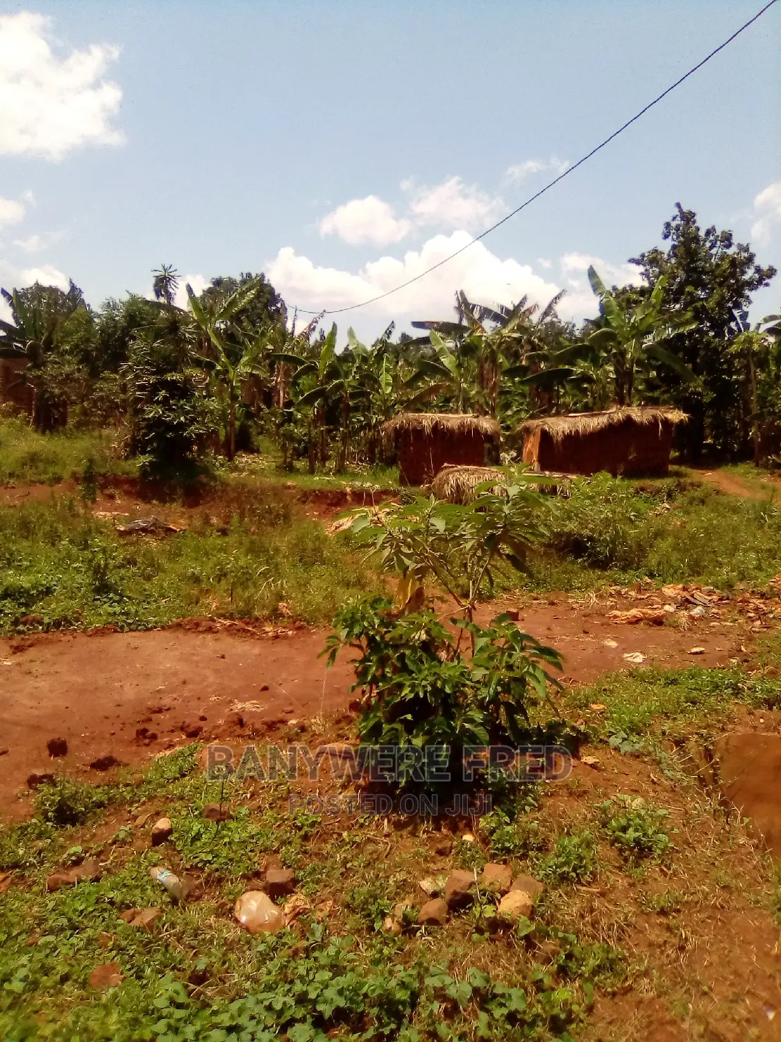 50/100 for Sale in Bukerere Kafunda