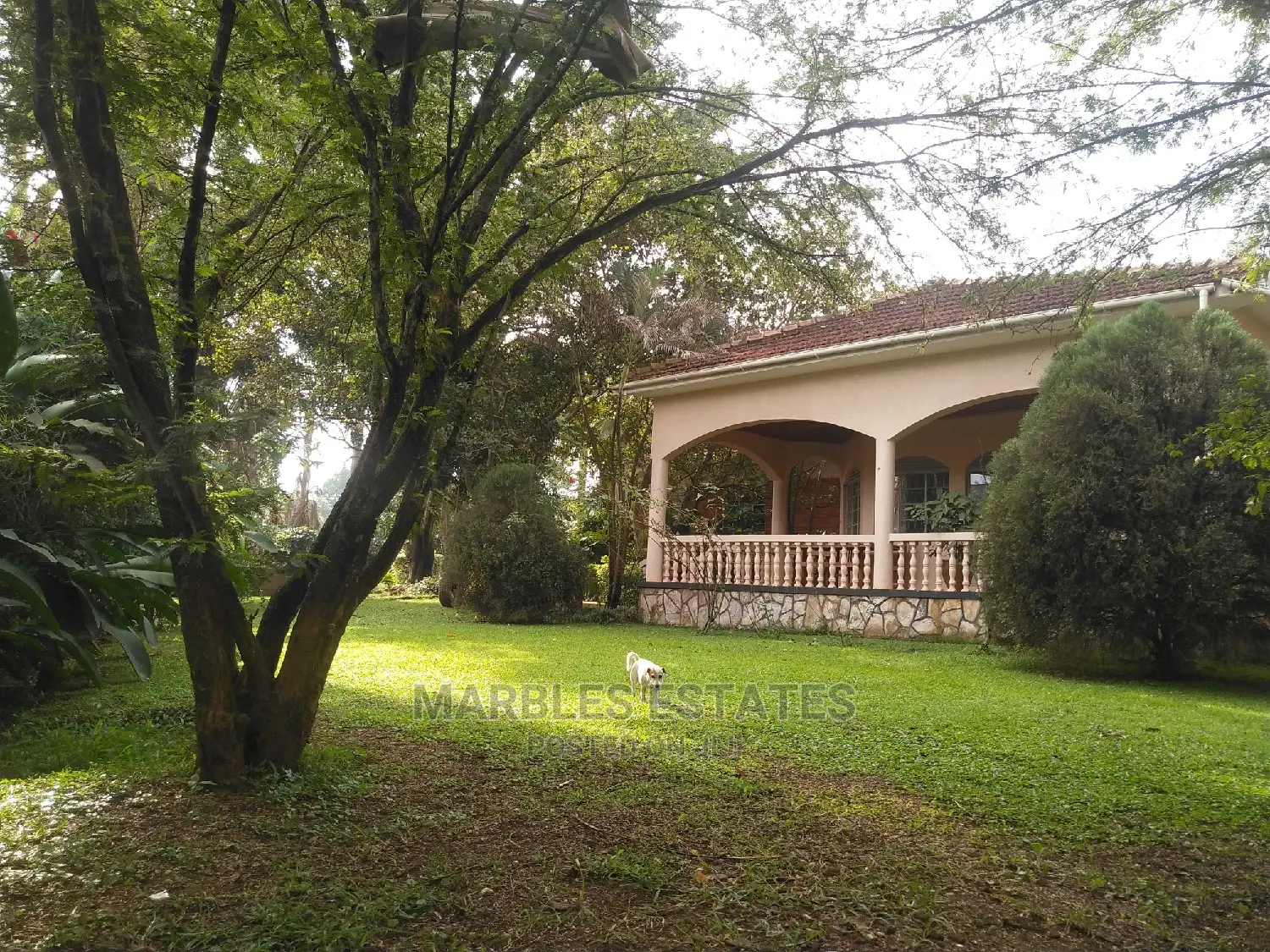 4bdrm Bungalow in Naguru, Kampala for Rent
