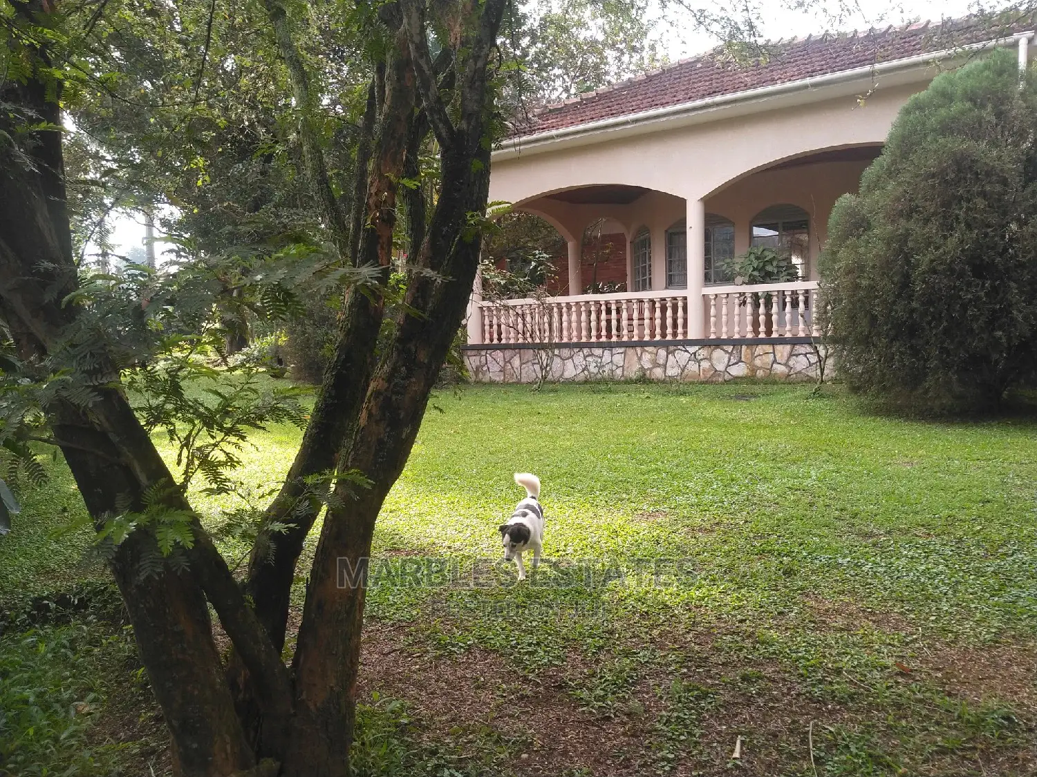 4bdrm Bungalow in Naguru, Kampala for Rent