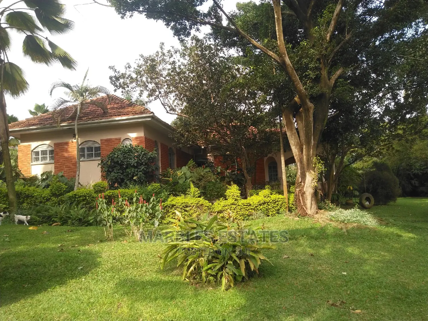 4bdrm Bungalow in Naguru, Kampala for Rent