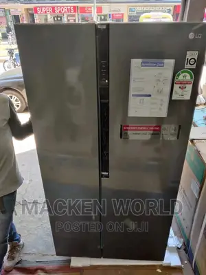 Side by Side LG Fridge