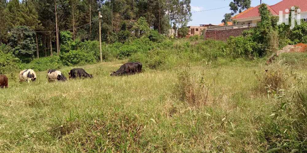 Kira Hillview Plots On Sell