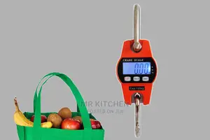 Hanging Crane Scale (300kg/200kg)