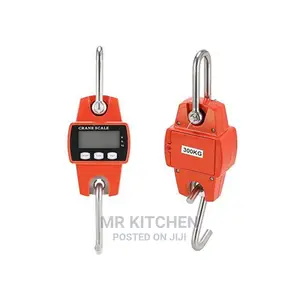 Hanging Crane Scale (300kg/200kg)