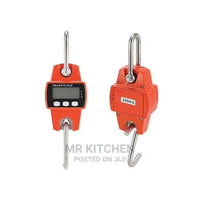 Hanging Crane Scale (300kg/200kg)