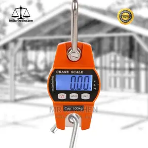 Hanging Crane Scale (300kg/200kg)
