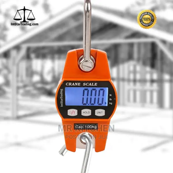 Hanging Crane Scale (300kg/200kg)