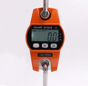 Hanging Crane Scale (300kg/200kg)