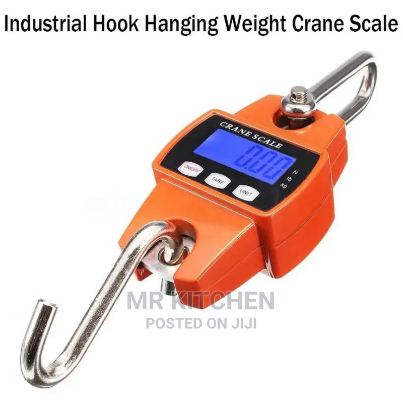 Hanging Crane Scale (300kg/200kg)