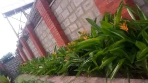 Beautiful Hedges,Beautiful Compound Designs,Land Scarping.