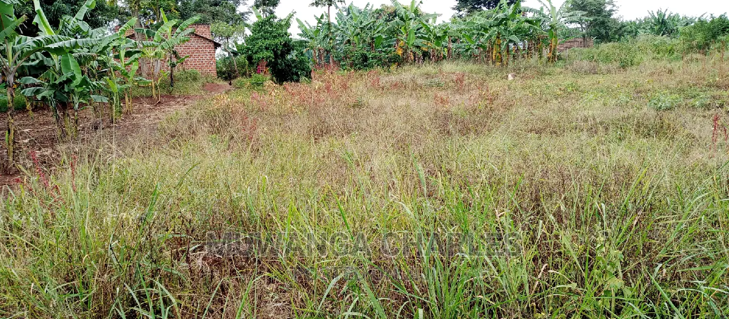 2.5acres Is for Sale in Zirobwe