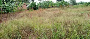 2.5acres Is for Sale in Zirobwe