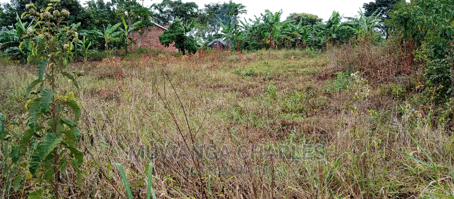 2.5acres Is for Sale in Zirobwe