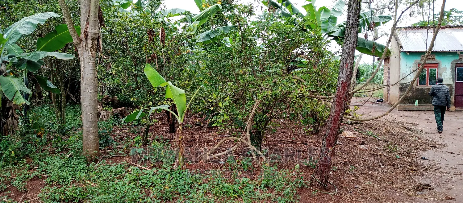 2.5acres Is for Sale in Zirobwe