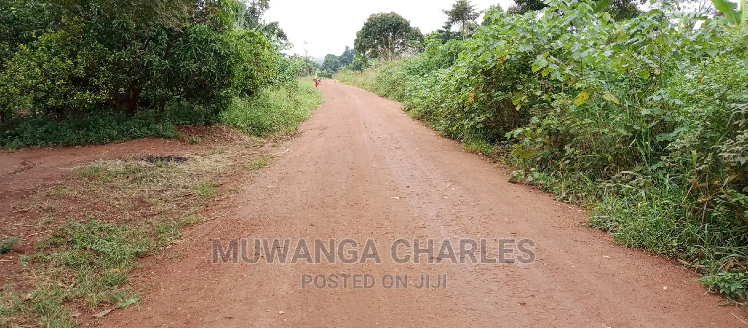 2.5acres Is for Sale in Zirobwe