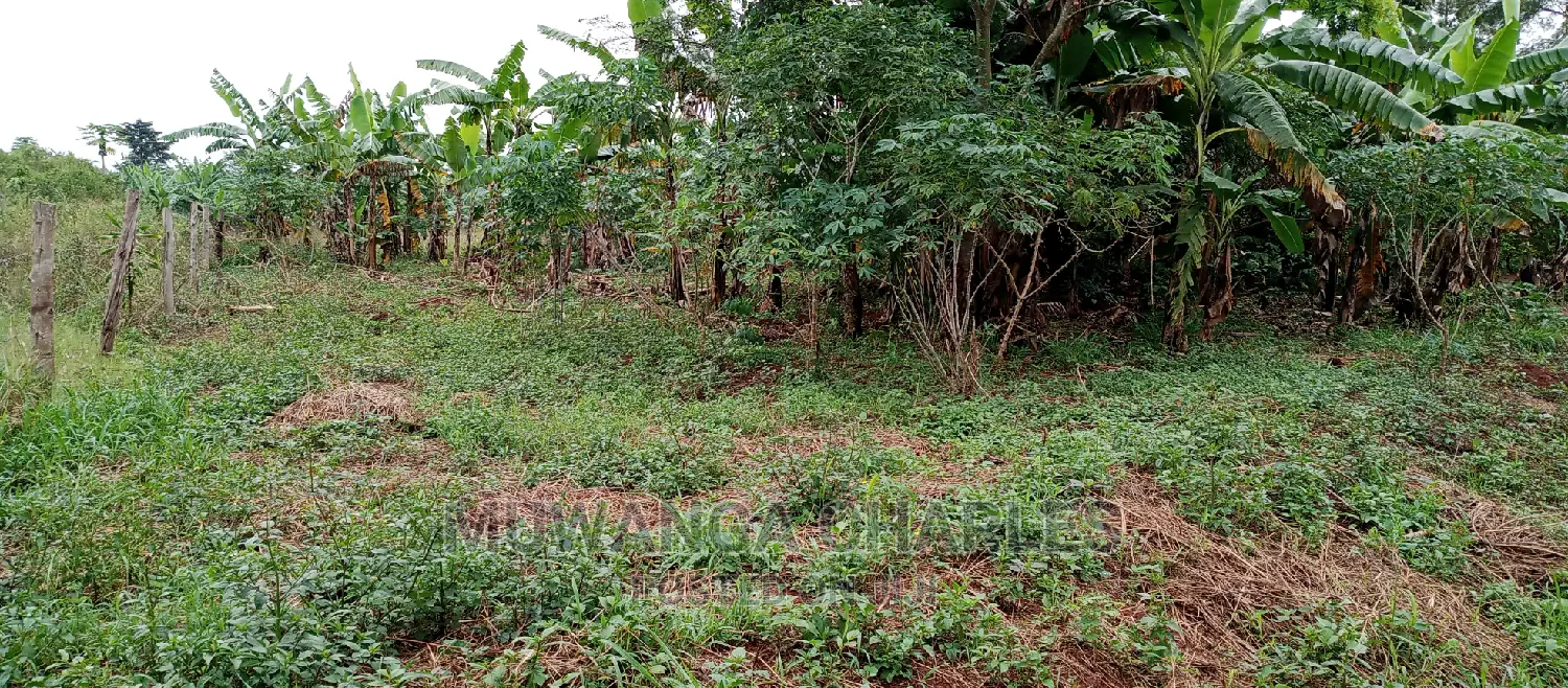 2.5acres Is for Sale in Zirobwe