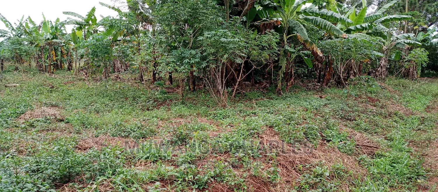 2.5acres Is for Sale in Zirobwe