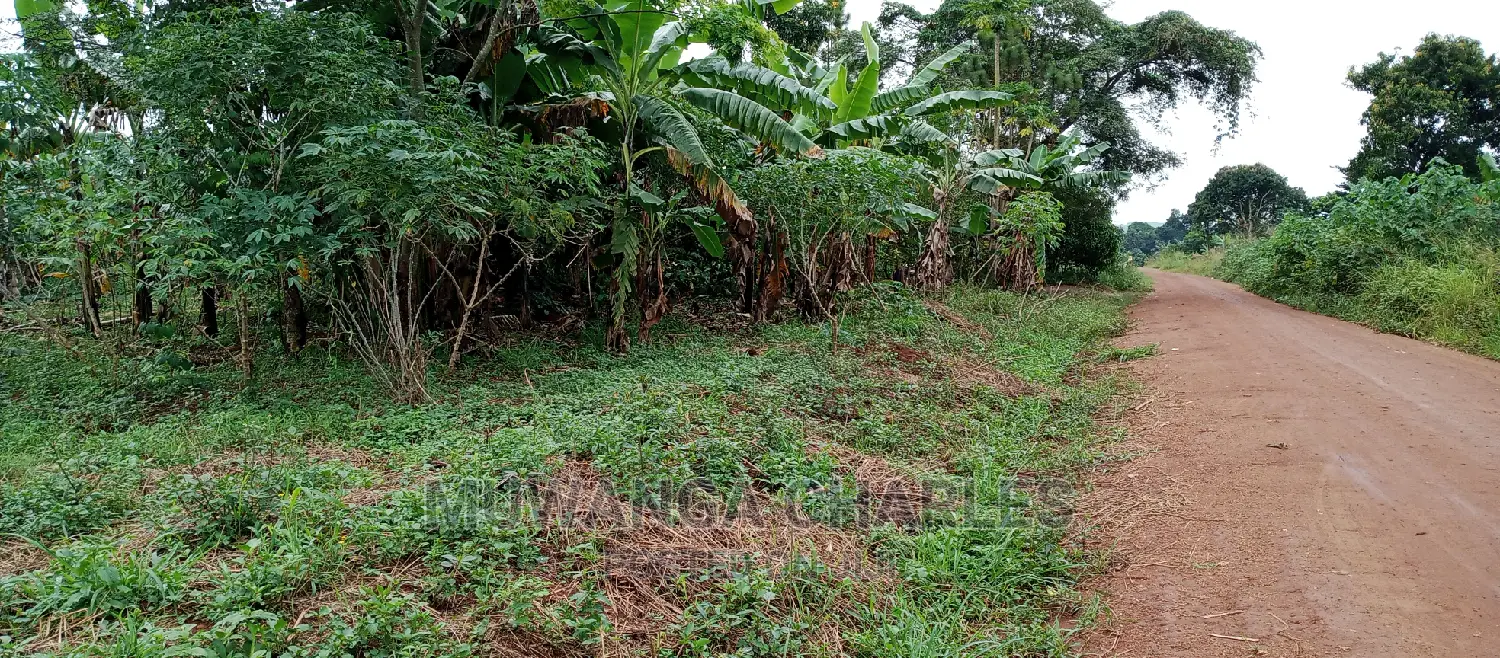 2.5acres Is for Sale in Zirobwe