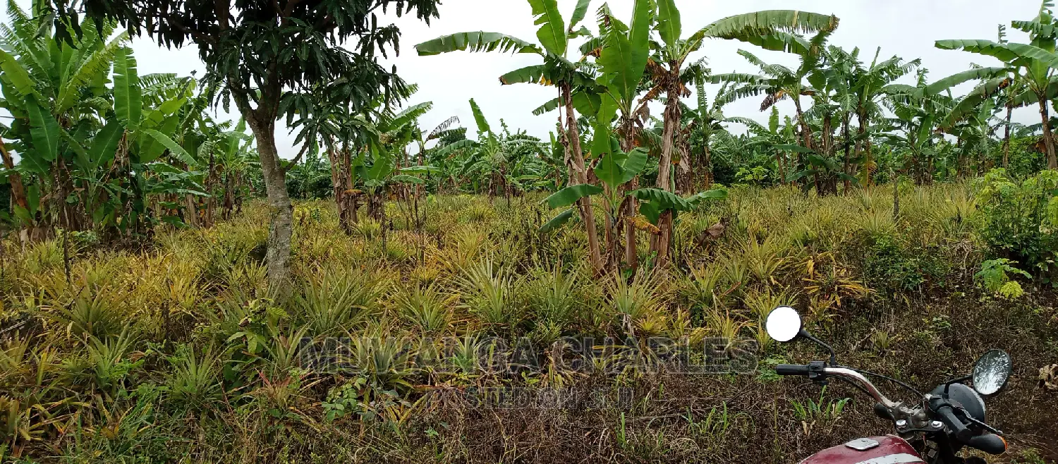 2acres of Land Is for Sale in Zirobwe