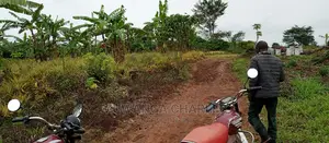 2acres of Land Is for Sale in Zirobwe