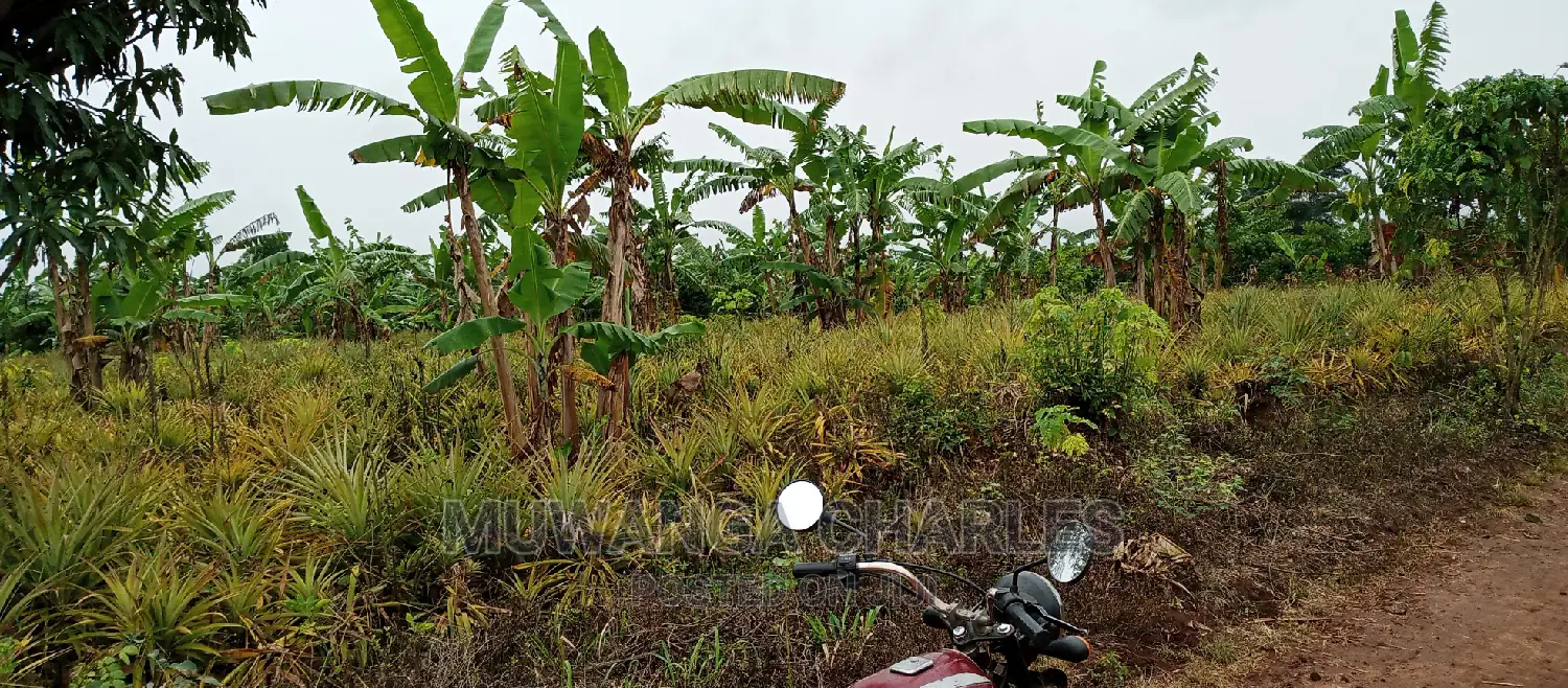 2acres of Land Is for Sale in Zirobwe