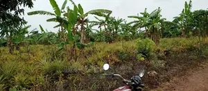 2acres of Land Is for Sale in Zirobwe