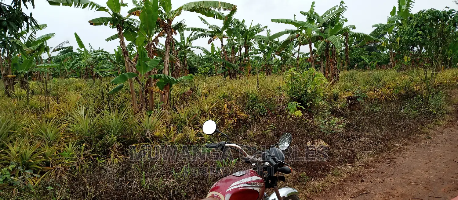 2acres of Land Is for Sale in Zirobwe