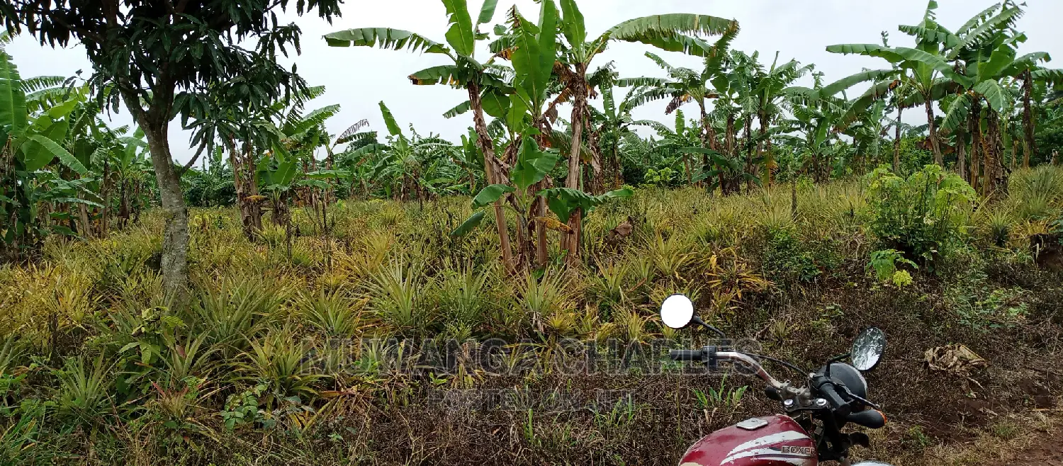 2acres of Land Is for Sale in Zirobwe