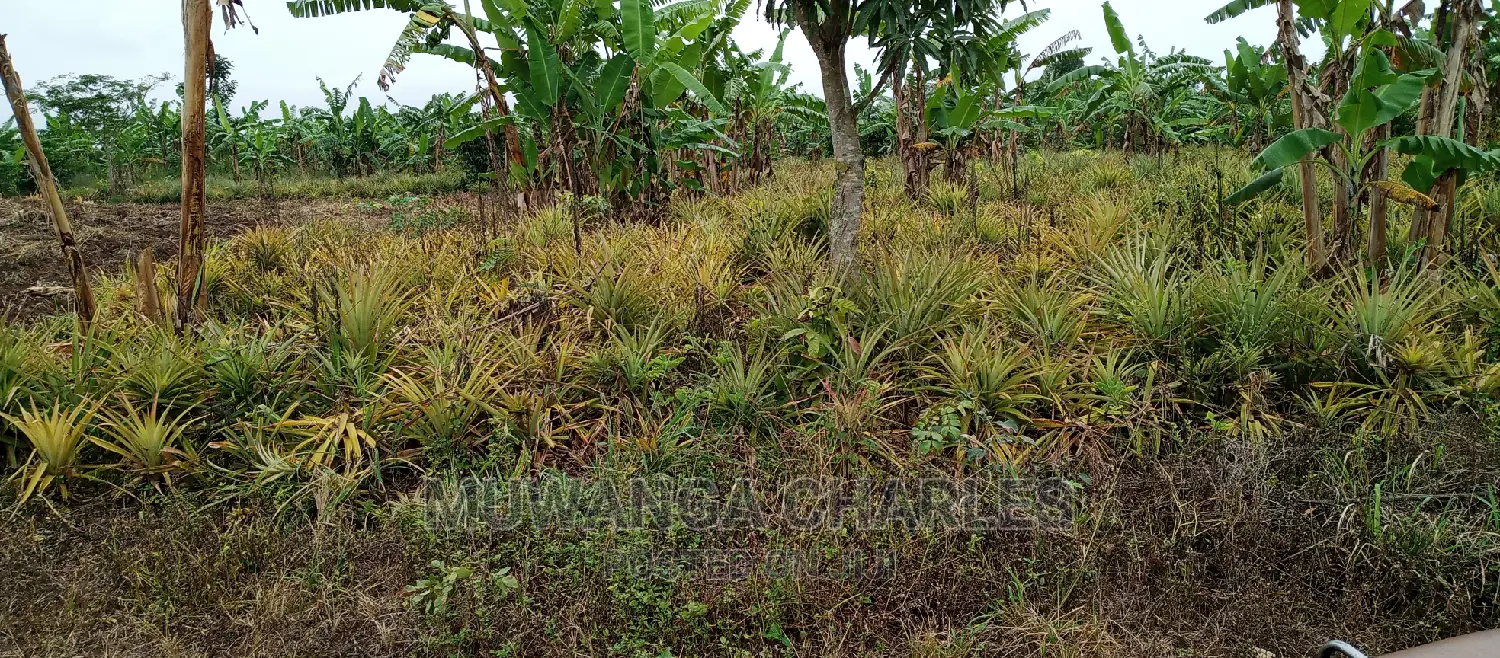 2acres of Land Is for Sale in Zirobwe