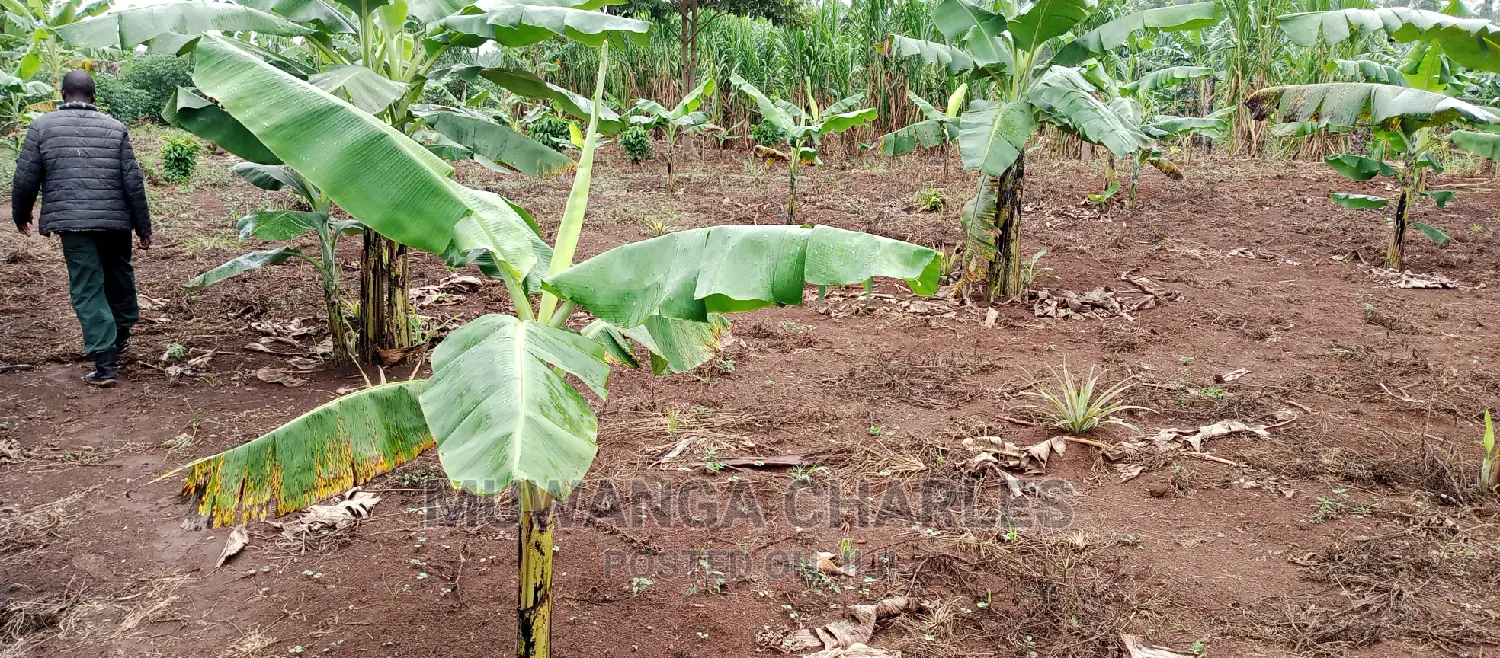 Land Is for Sale in Zirobwe
