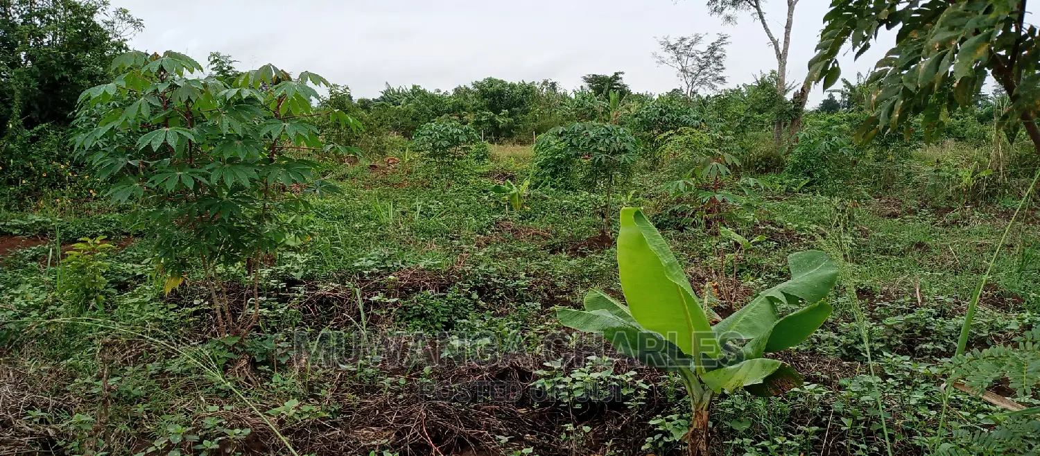 Land Is for Sale in Zirobwe