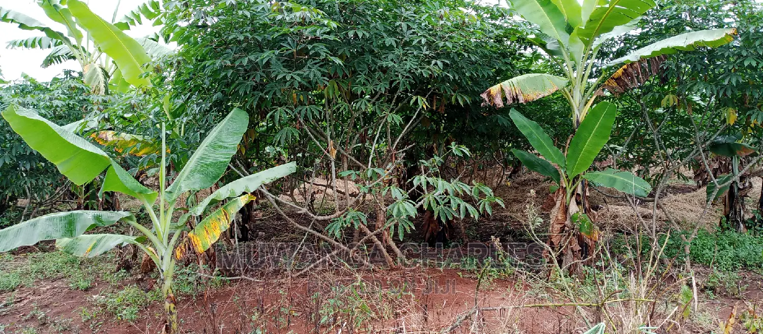 Land Is for Sale in Zirobwe