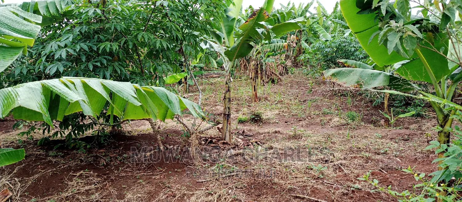 Land Is for Sale in Zirobwe