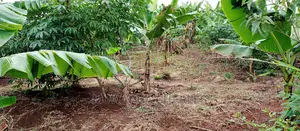 Land Is for Sale in Zirobwe