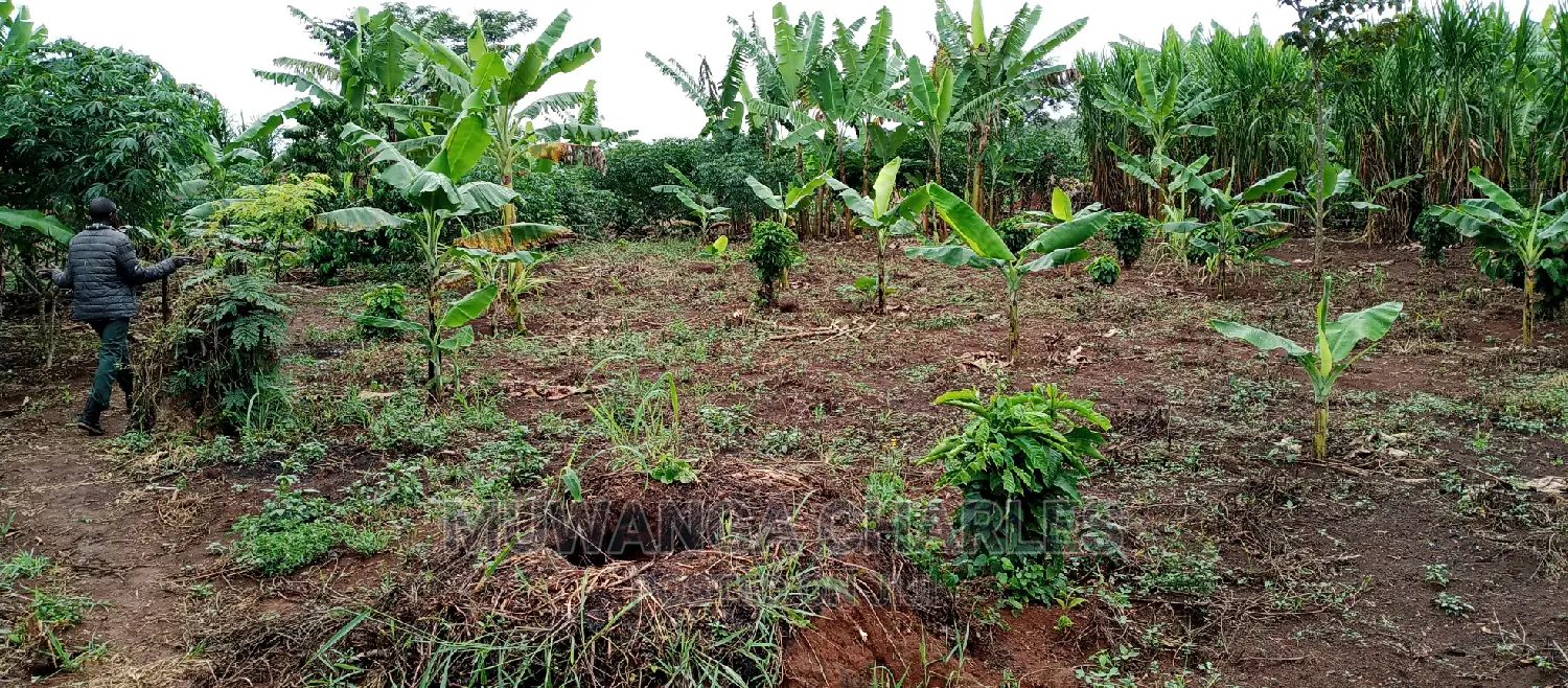 Land Is for Sale in Zirobwe
