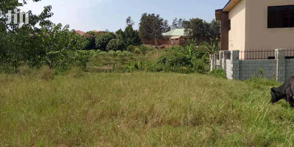 Kira Beautiful Plots For Sale