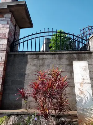 Curved Shape Fence Grills
