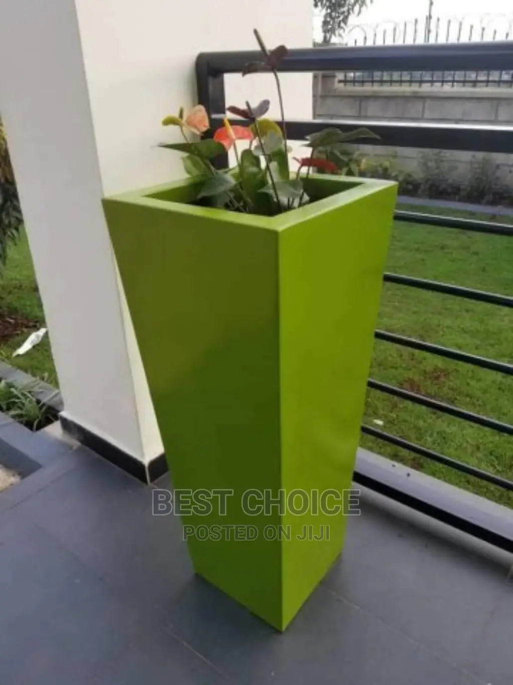 Out Door Flowers,Plants,Compound Designing,Land Scarping.