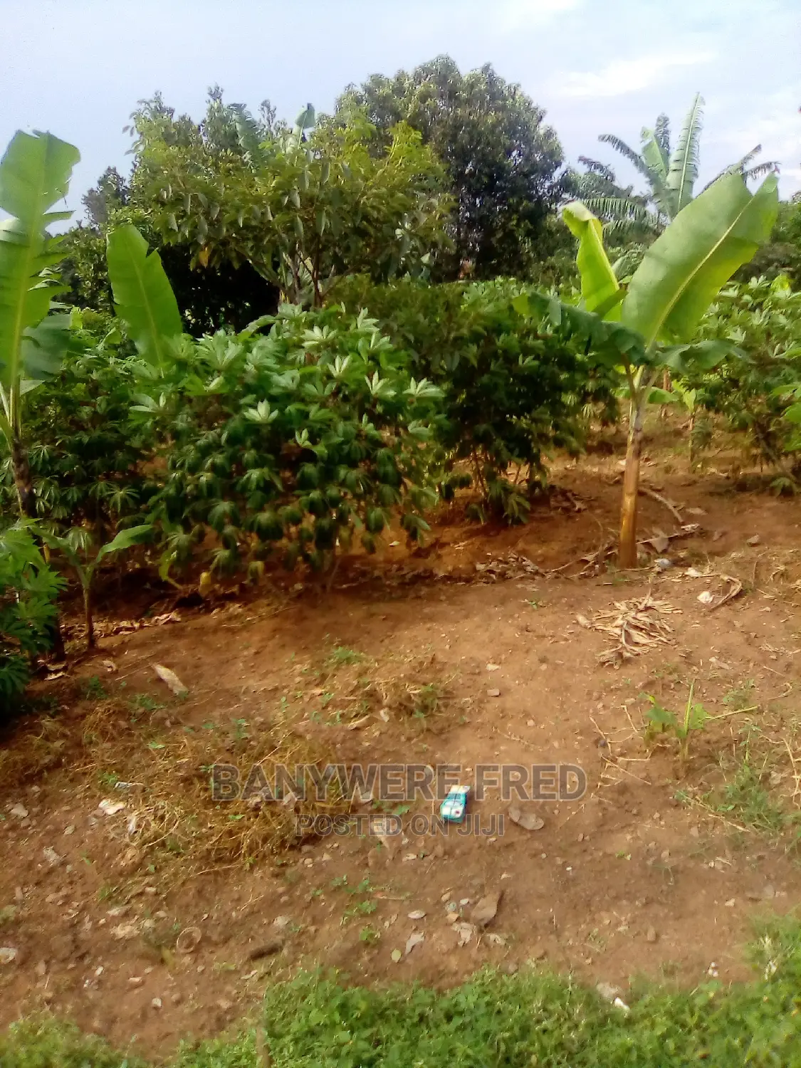 30/50 Plot for Sale in Kiyunga Bulijo