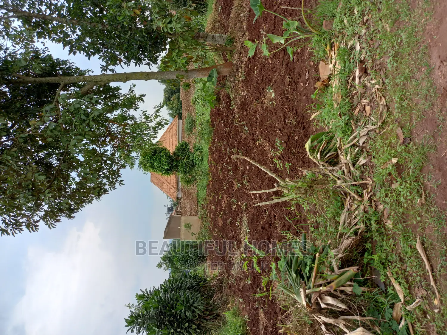 Nakwero 25 Decimals Near Main Road on Sell