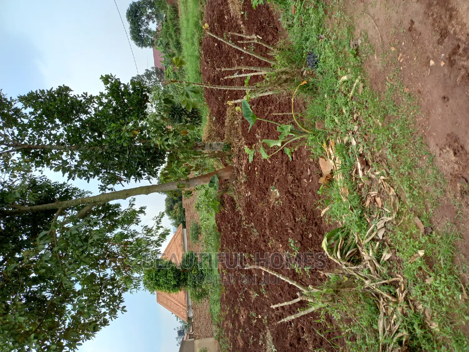 Nakwero 25 Decimals Near Main Road on Sell