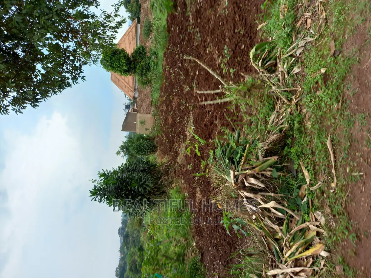 Nakwero 25 Decimals Near Main Road on Sell