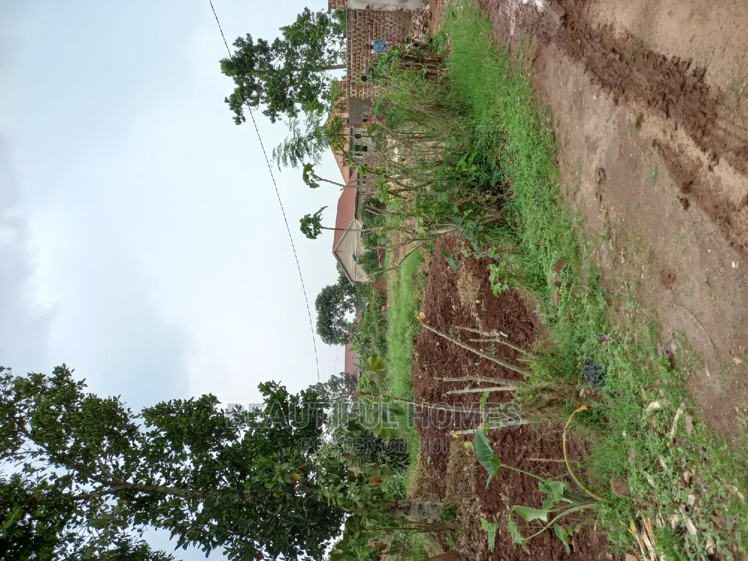 Nakwero 25 Decimals Near Main Road on Sell