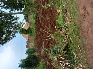 Nakwero 25 Decimals Near Main Road on Sell
