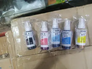 Epson Ink 673