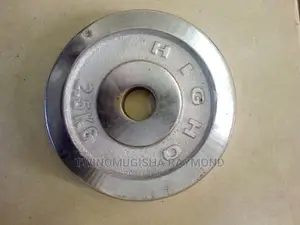 A Pair of 2.5kg Weight Plates