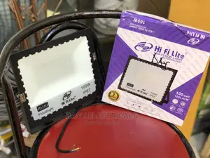 Day Light Flood Light 100wts