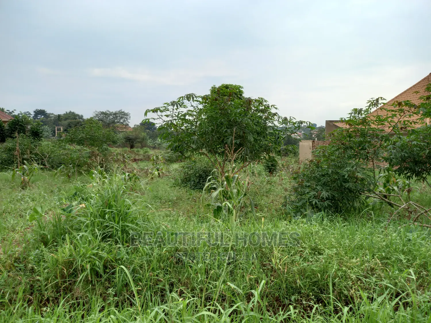 Nakwero Residential Plots on Sell